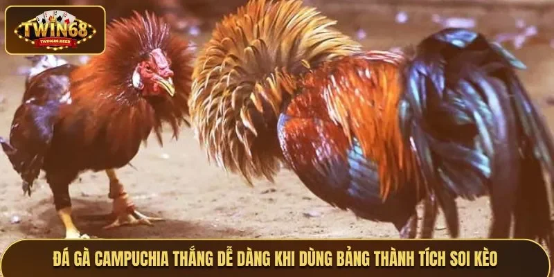 Đá gà Campuchia tận dụng bảng thành tích để soi kèo