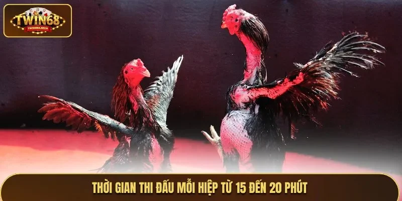 Thời gian thi đấu mỗi hiệp từ 15 đến 20 phút