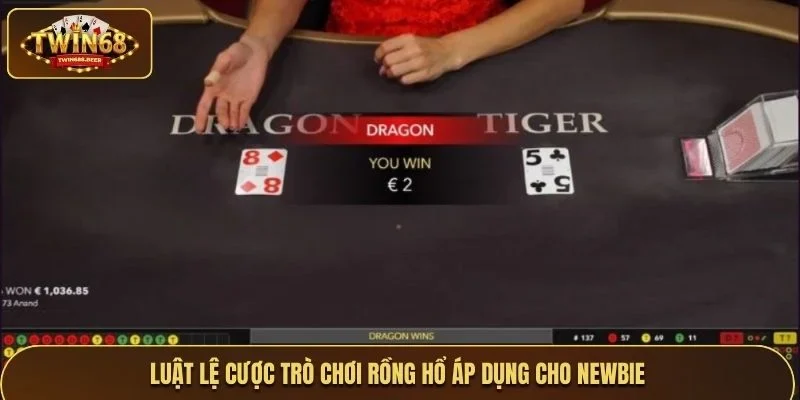Luật lệ cược trò chơi rồng hổ áp dụng cho newbie